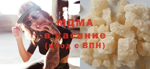 шишки Абаза