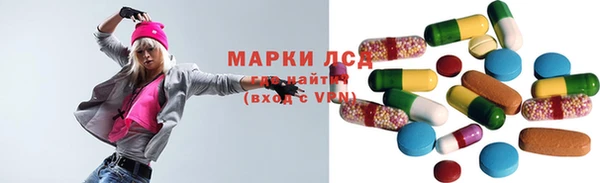 шишки Абаза