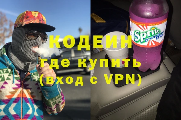 шишки Абаза