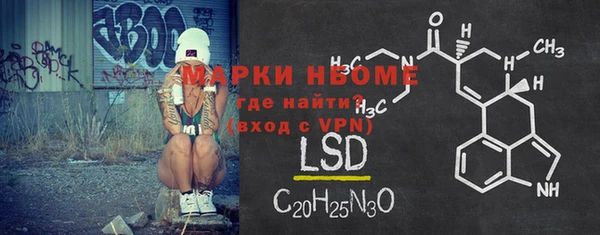 шишки Абаза