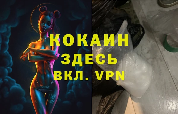 шишки Абаза