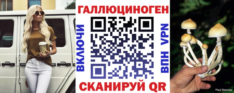 Псилоцибиновые грибы Psilocybine cubensis  Нижневартовск 